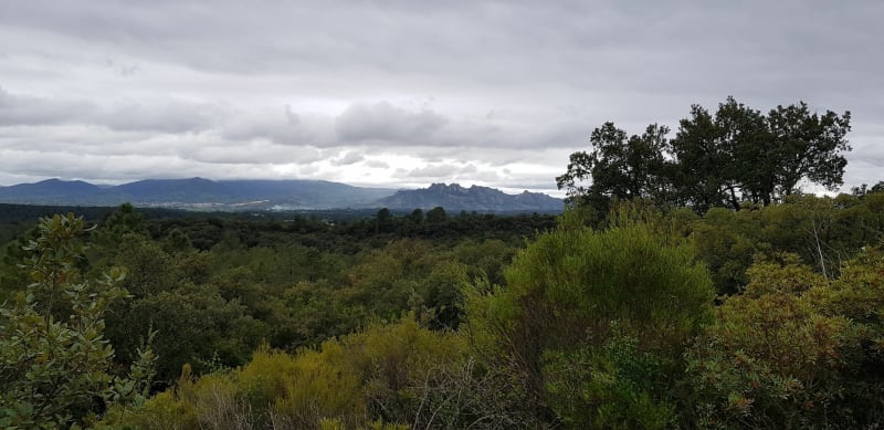 Autour du Collet Redon - Roquebrune-sur-Argens