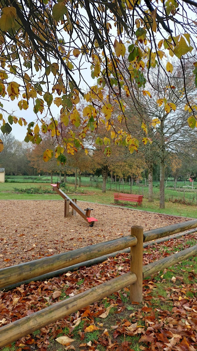 Balade dans les Landes de Souvigné - Souvigné
