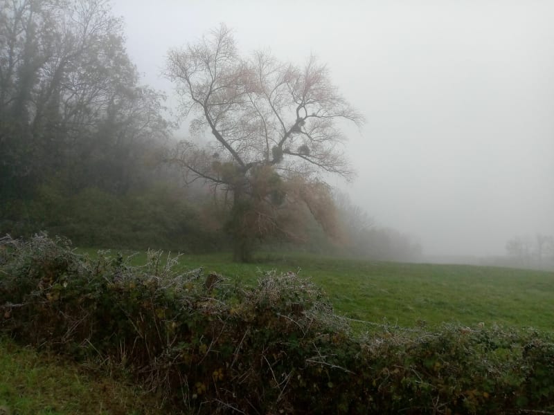 Entre vignes et bois à l'Etoile - L'Étoile