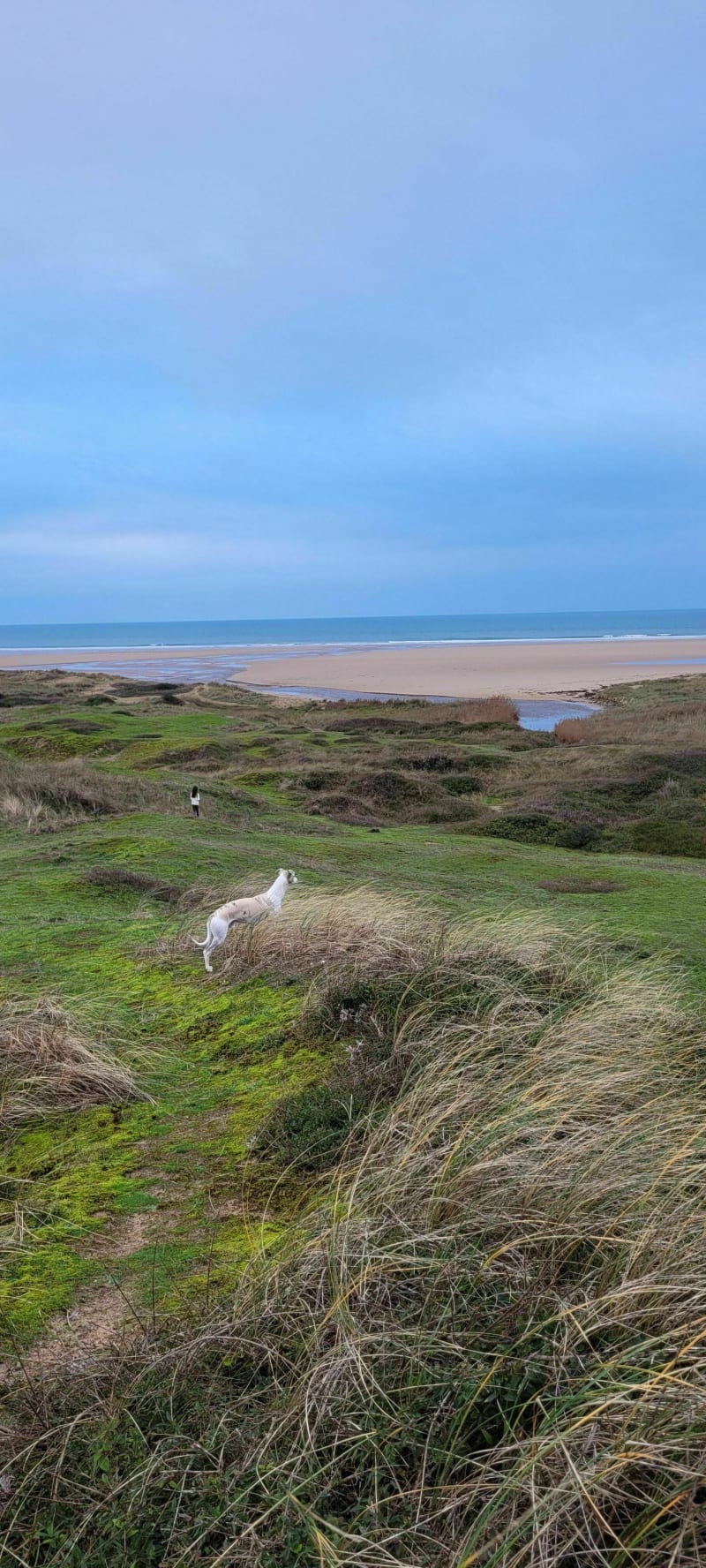Siouville dunes - Siouville-Hague