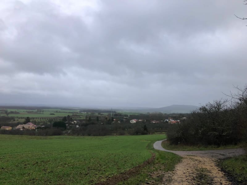 Balade sympathique sur chemins forestiers autour de Lucey - Choloy-Ménillot