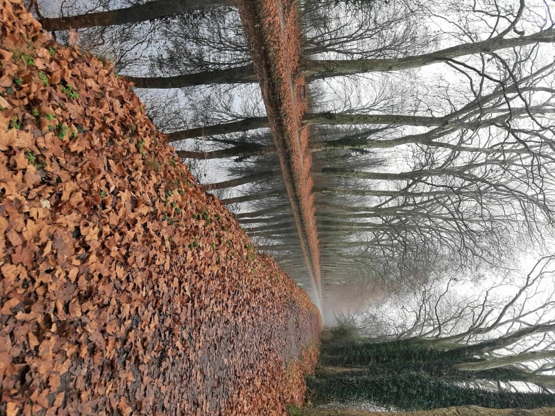 Le long du canal de Berry à Bourges - Bourges
