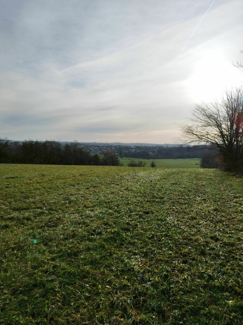 Parcours de santé et château de Fleville - Fléville-devant-Nancy