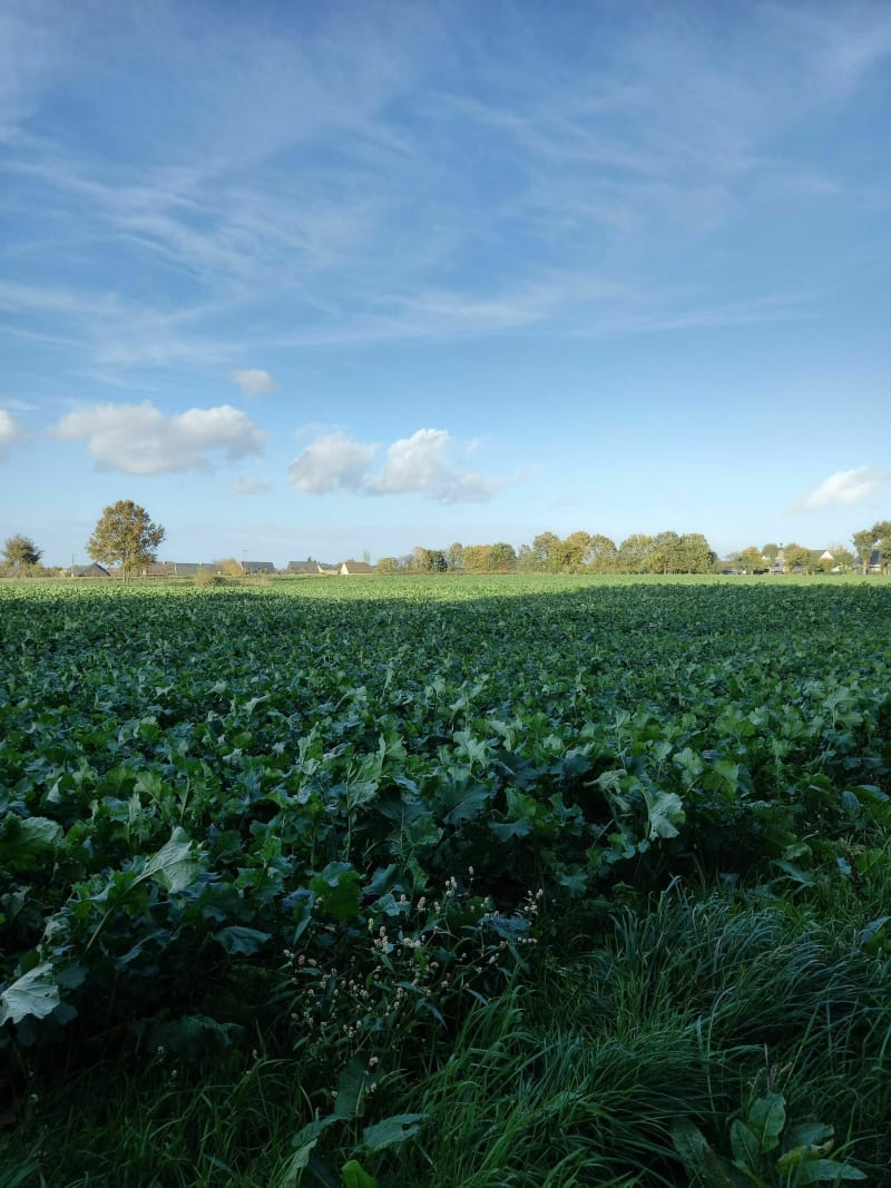 La vallée de l'Yaigne à Nouvoitou - Nouvoitou