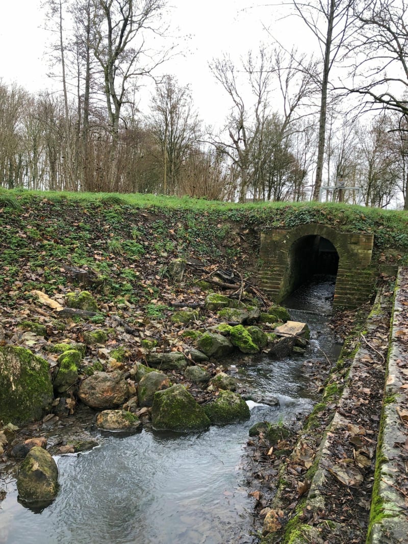 Balade à Quiers - Quiers-sur-Bézonde