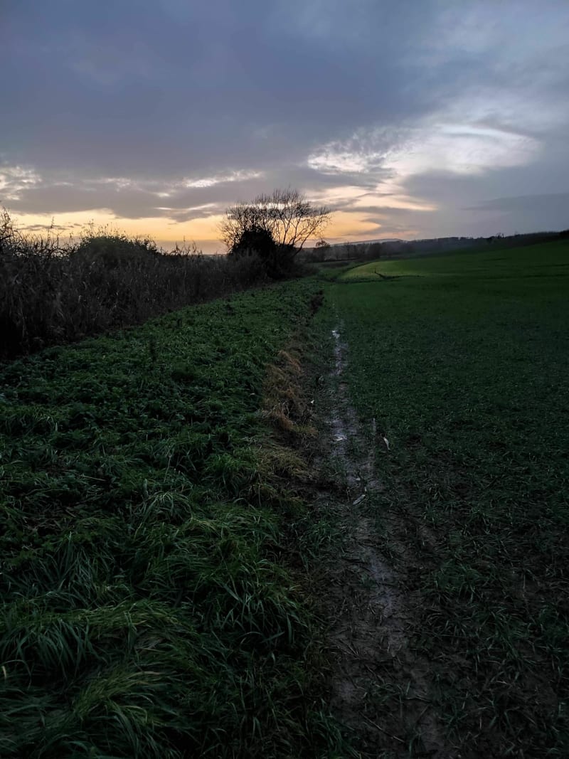 Randonnée sur les chemins de Genvry - Genvry