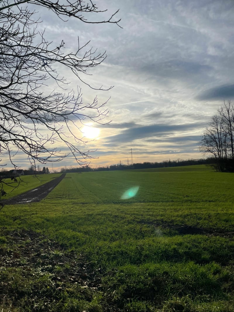 Balade dans les champs à Lingolsheim - Lingolsheim