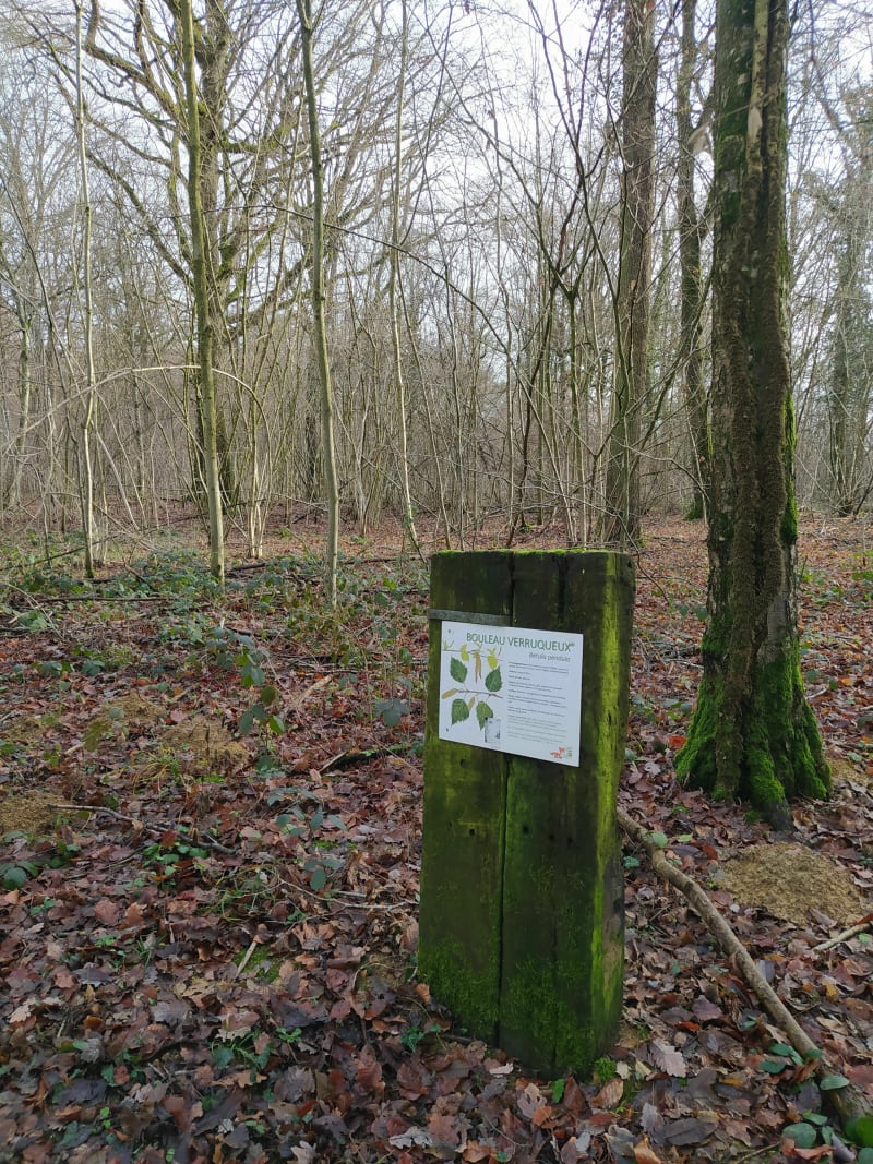 Parcours de santé Pulnoy - Pulnoy