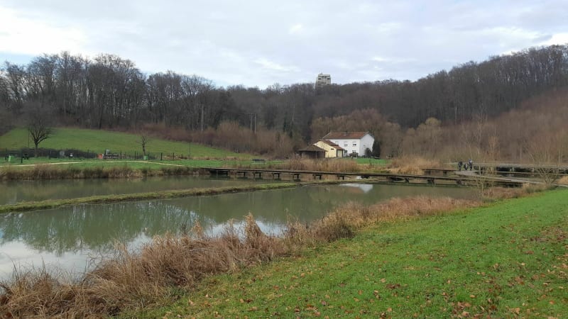 Mance-Plan d'eau - Val de Briey