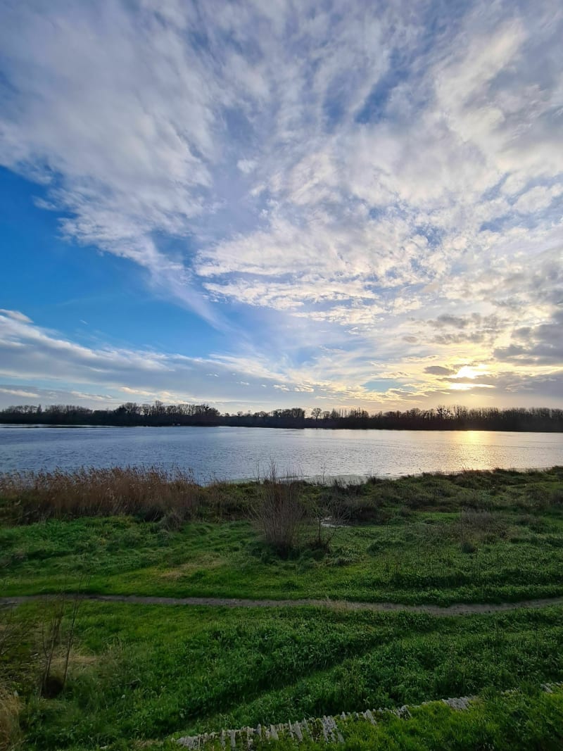 Balade au long de la Loire jusqu'au jardin méditerranéen - Sainte-Gemmes-sur-Loire