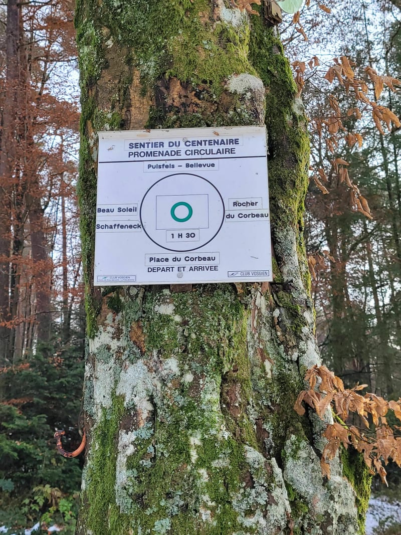Sentier du centenaire, Troismaisons - Phalsbourg