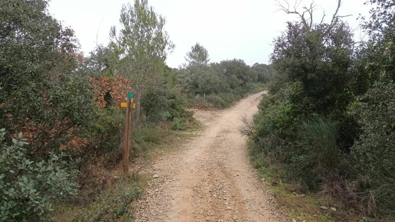 Haut de Sauzet - Sauzet
