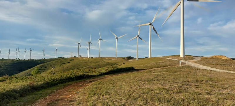 La dernière de l'année dans la Grande Garrigue - Névian