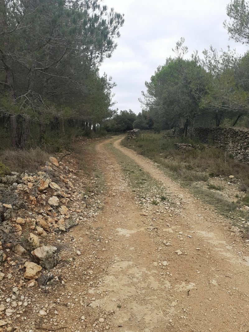Randonnée dans la garrigue conquoise - Conques-sur-Orbiel