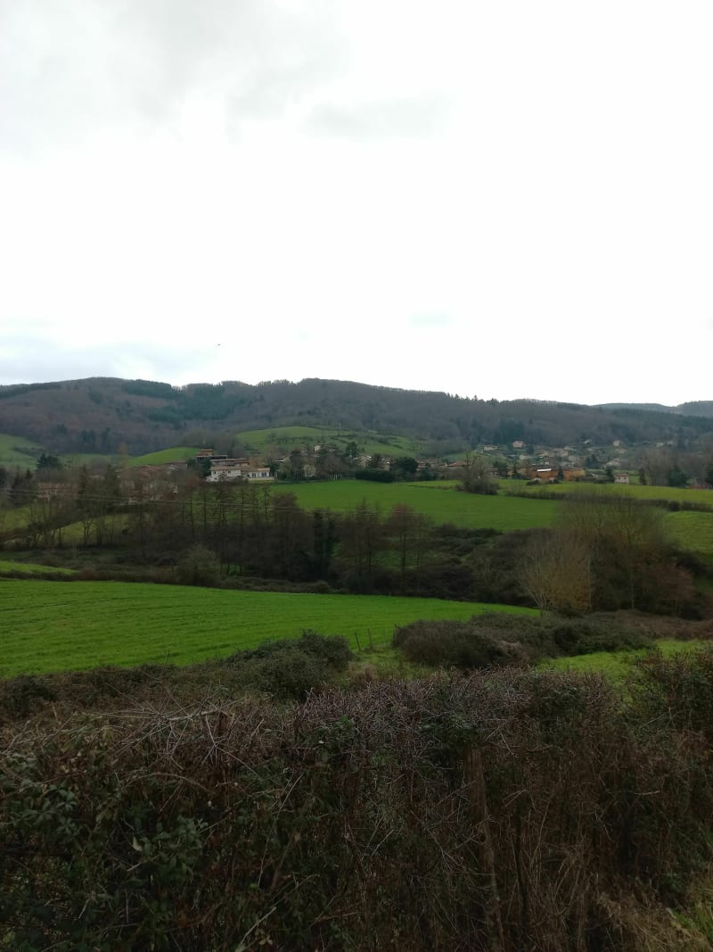 Sud ouest de Saint Pierre la Palud - Saint-Pierre-la-Palud