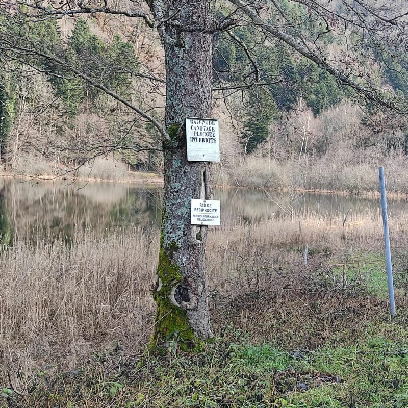 Lac d'Alfeld - Masevaux-Niederbruck