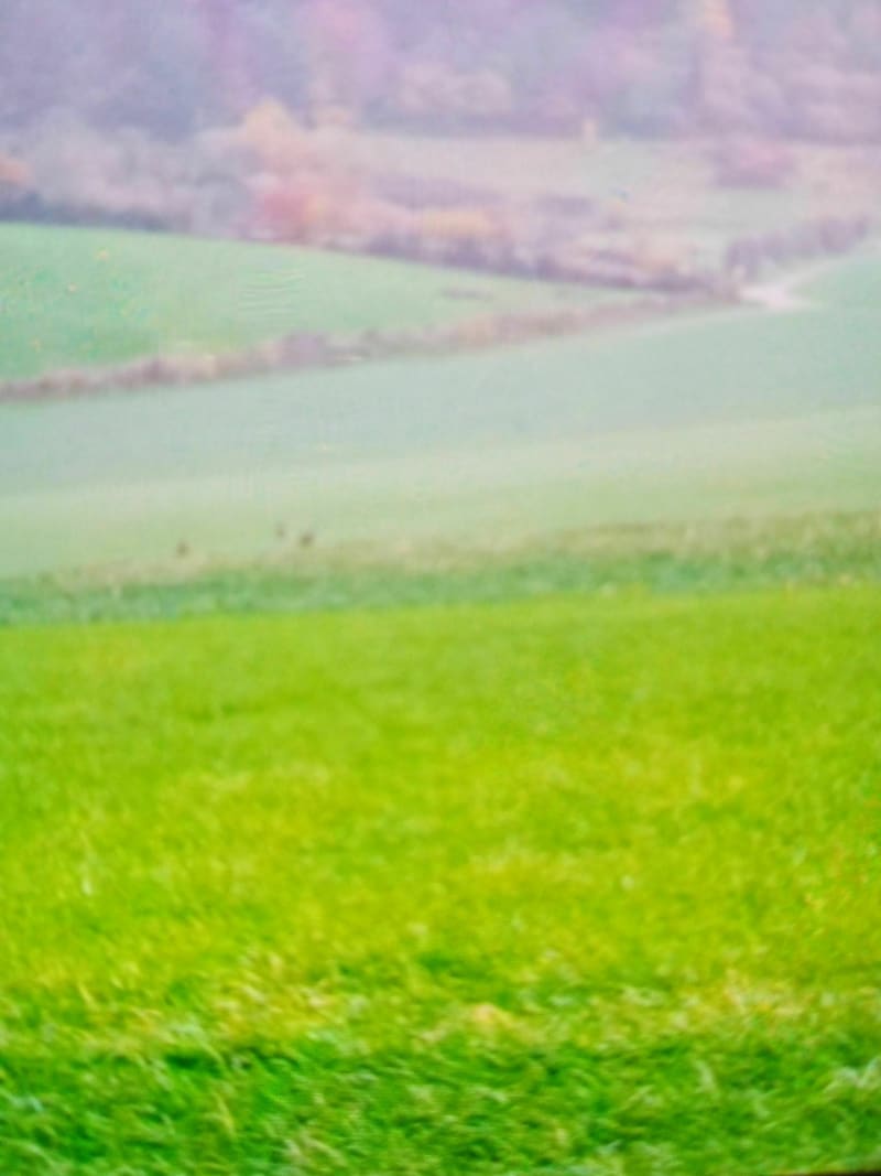Balade Canny-sur-thérain - Canny-sur-Thérain