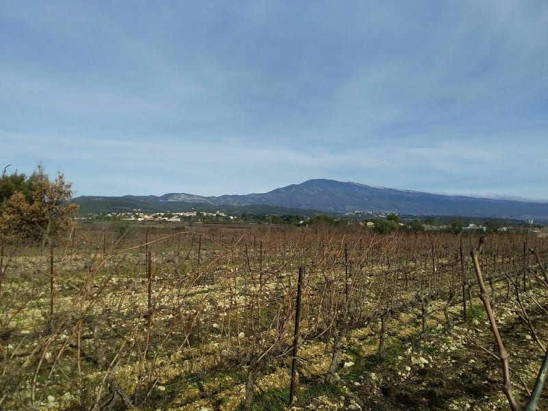 Le puit Chabert - Caromb