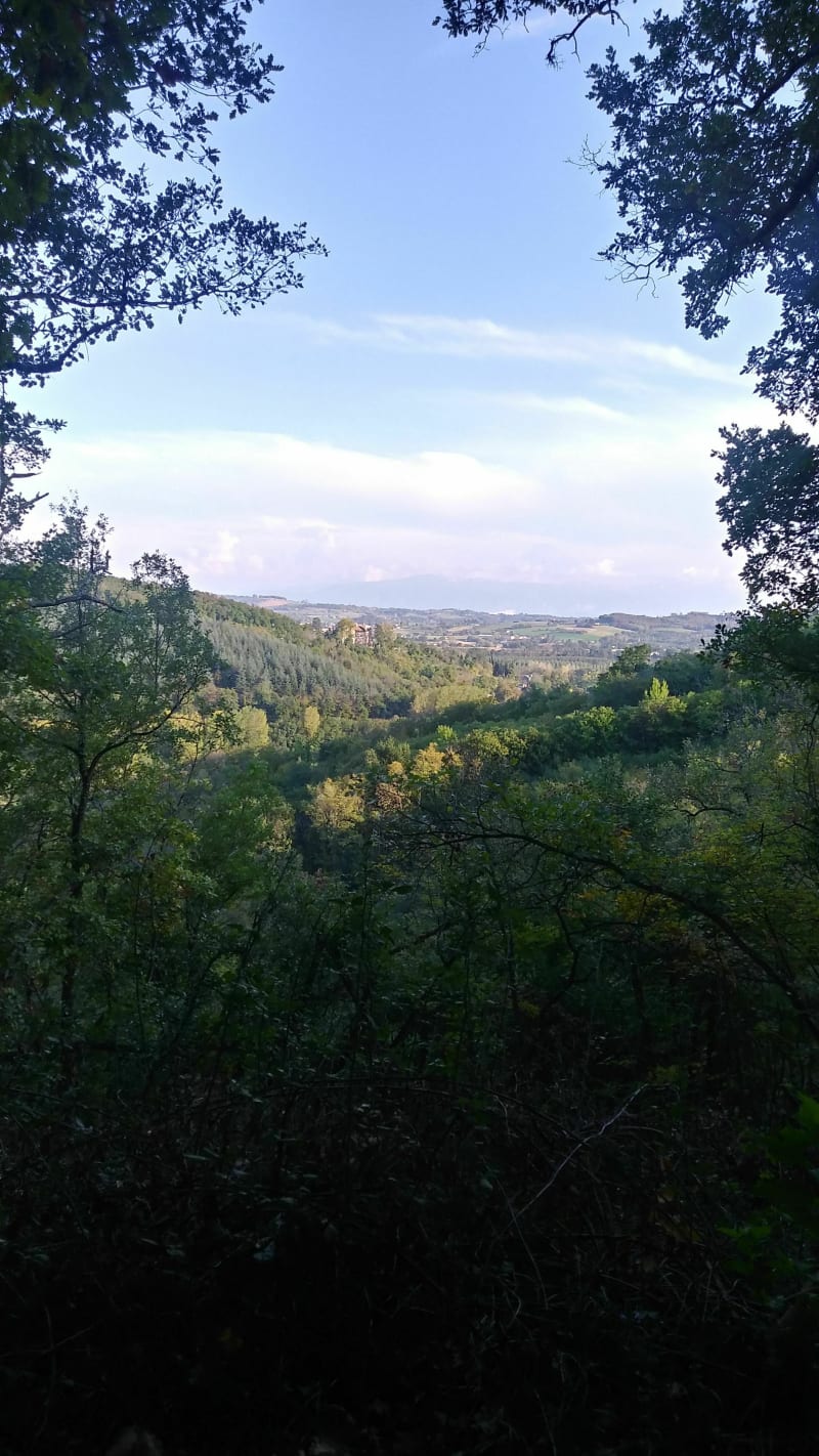 Tour du Bois de sisay en passant par le bois de Bard - Bathernay