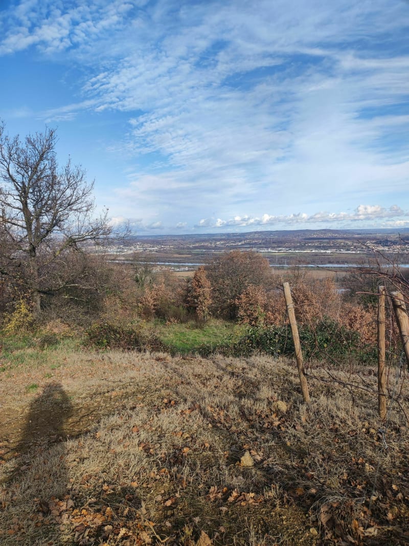 Sur les hauteurs de Serrières - Serrières