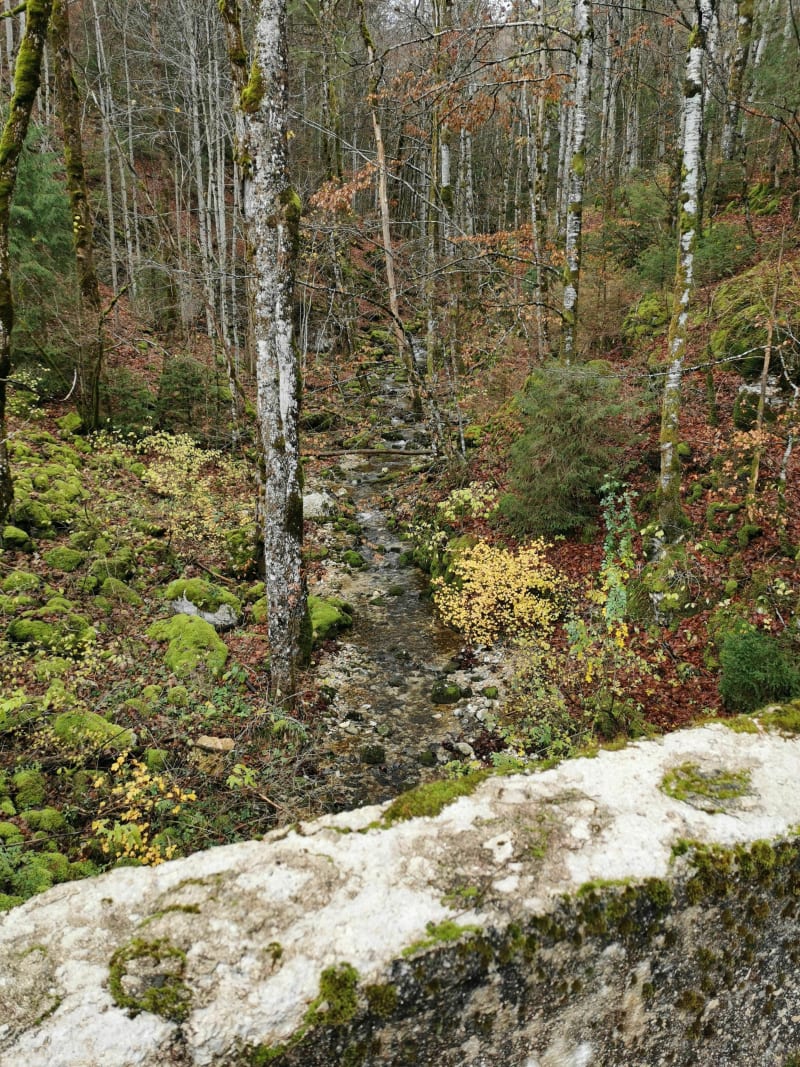 Grand tour de Septmoncel - Septmoncel les Molunes