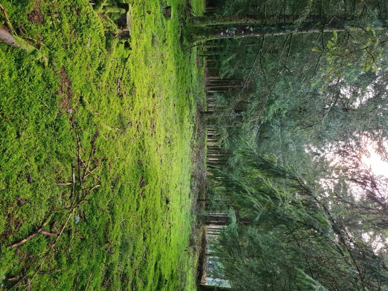 Balade au col de la croix de chèvre - Ménessaire