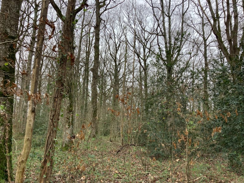 Etival le 31/12 - Étival-lès-le-Mans