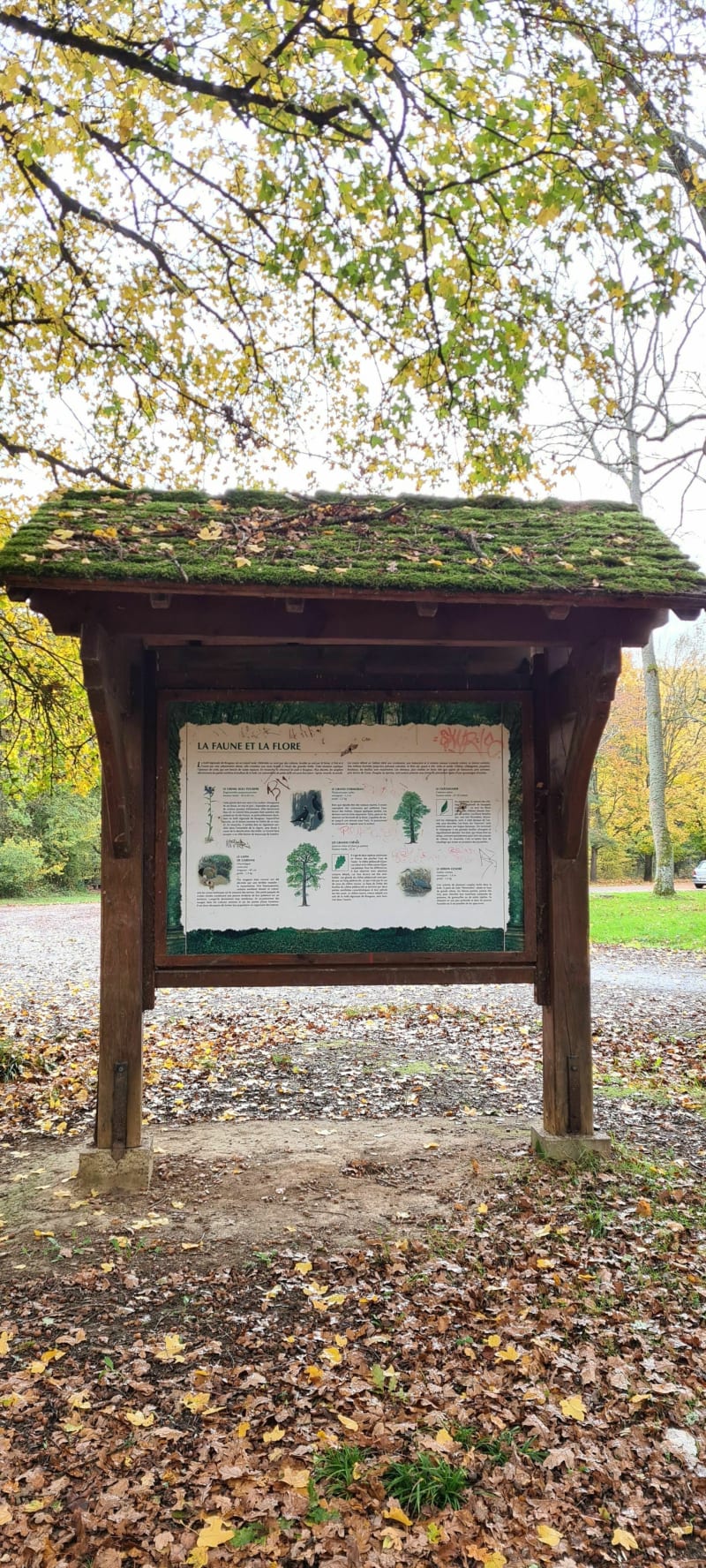 Boucle en forêt de Rougeau - Nandy