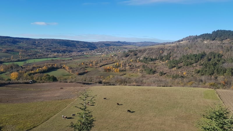 La tour de la Roche Blanche - La Roche-Blanche