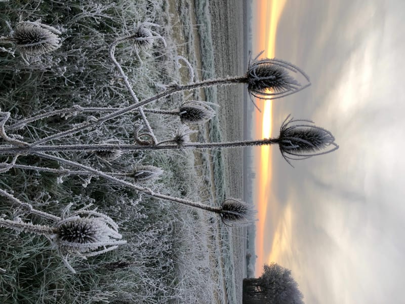 -9 degré ce matin à Quiers sur Bézonde - Quiers-sur-Bézonde