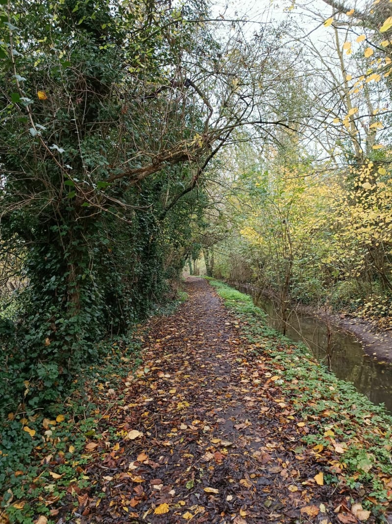 Promenade autour de Fouquières en passant par le golf - Béthune