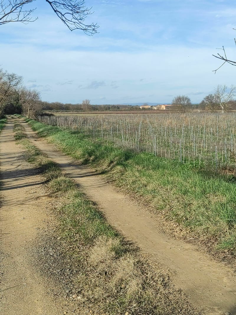 Balade entre Vias et Bessan - Vias