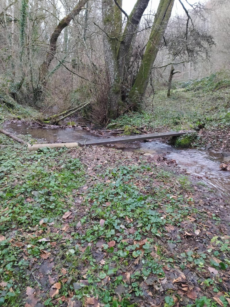 Du Causse de Recoules au bois de Prévinquières - Sévérac-d'Aveyron