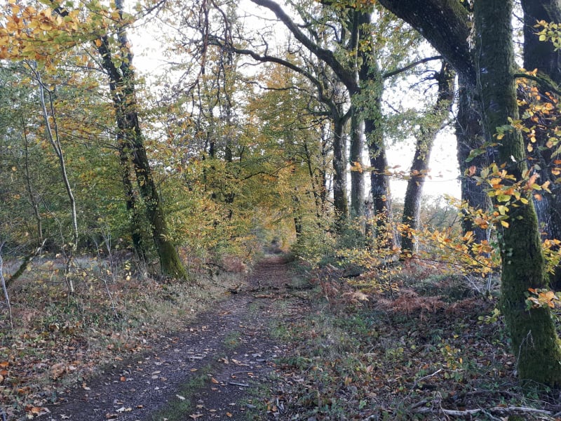 Boissournet - Peyrilhac