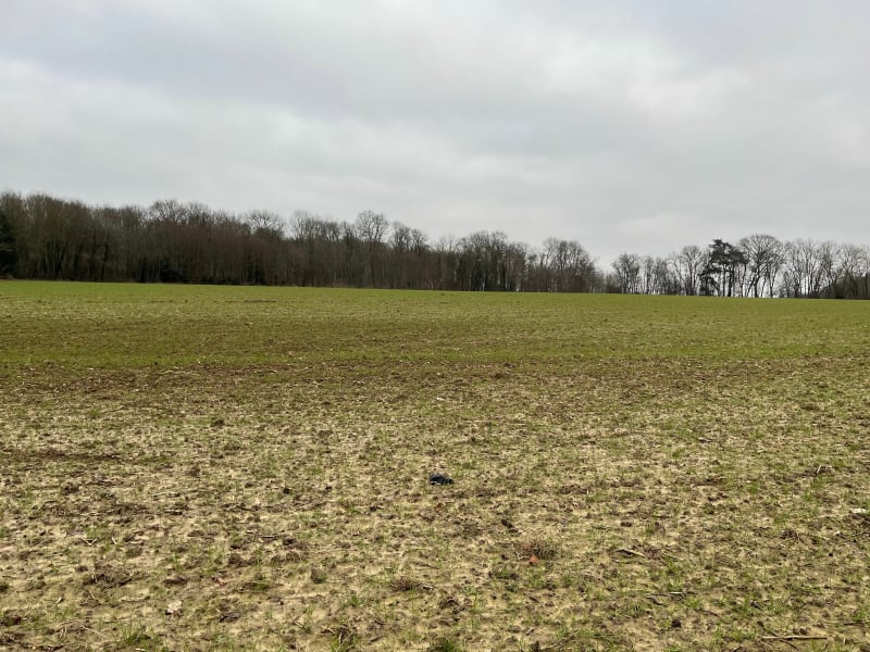 Chouette balade Domont Ezanville - Domont