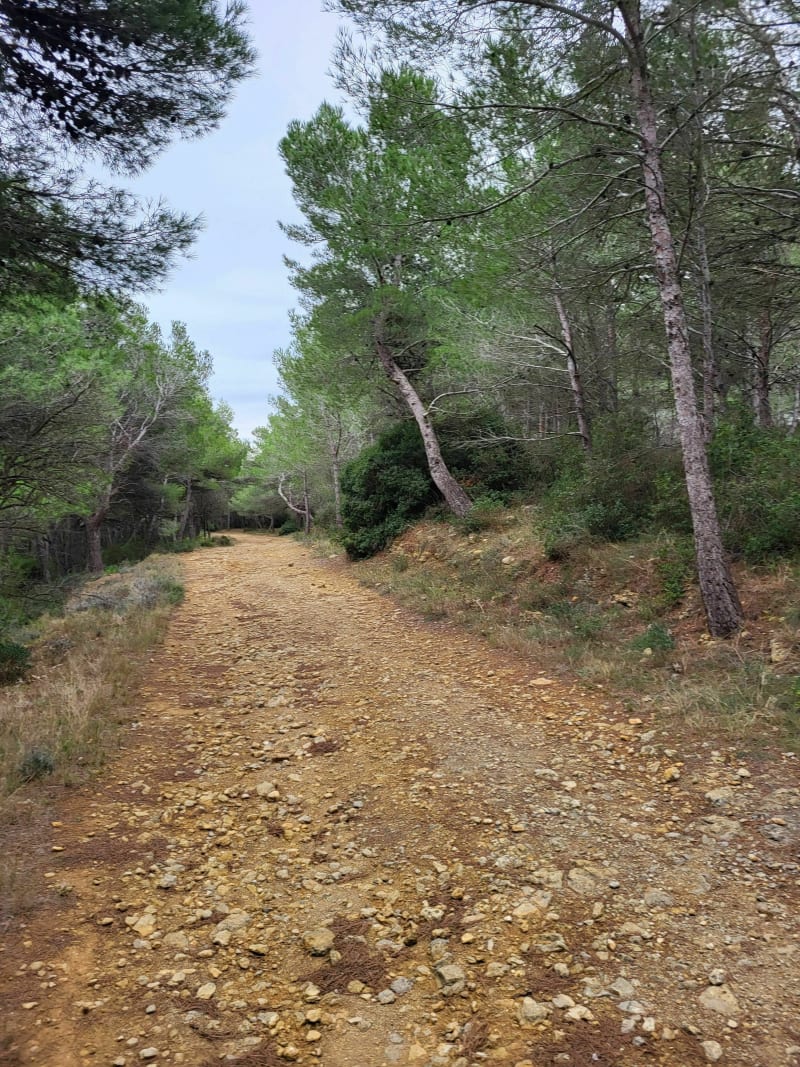 Le trou de Marrou - Gruissan