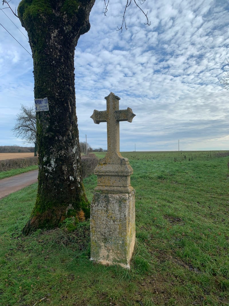 Promenade dans les bois à Saussy - Saussy