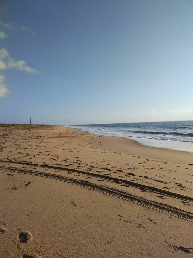 De la casse de la Belle Henriette à la plage des Chardons - L'Aiguillon-la-Presqu'île