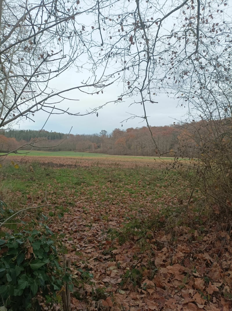 Petit tour sur le plateau de l'Ousse - Aureilhan