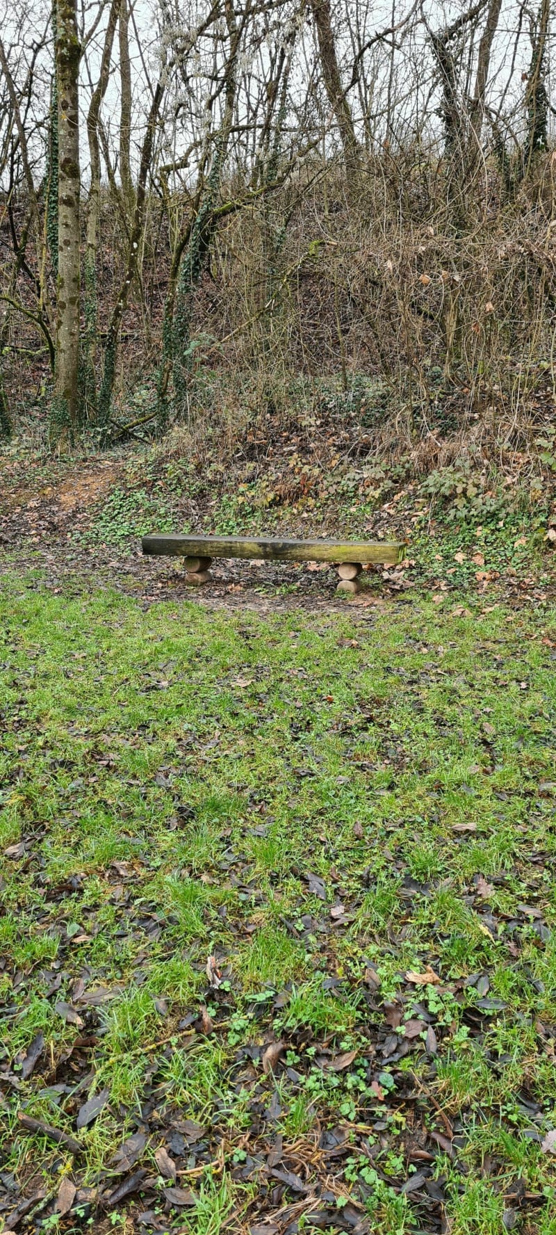Balade sur la voie verte entre Auboué et Moineville - Auboué