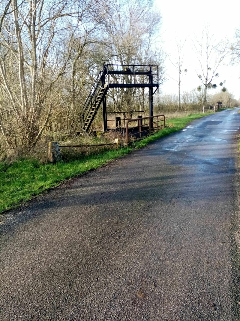 Balade dans les marais de Couëron - Couëron
