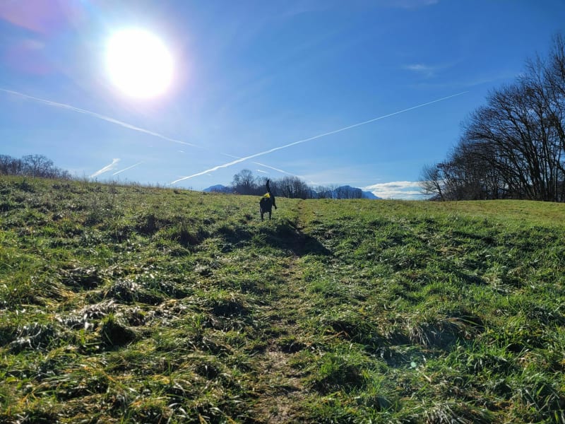 Plateau de Voglans et Mas des Essarts - Voglans