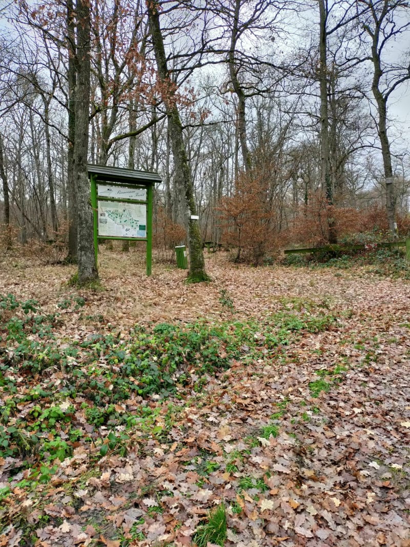 Foret de Saint Babel - Saint-Babel