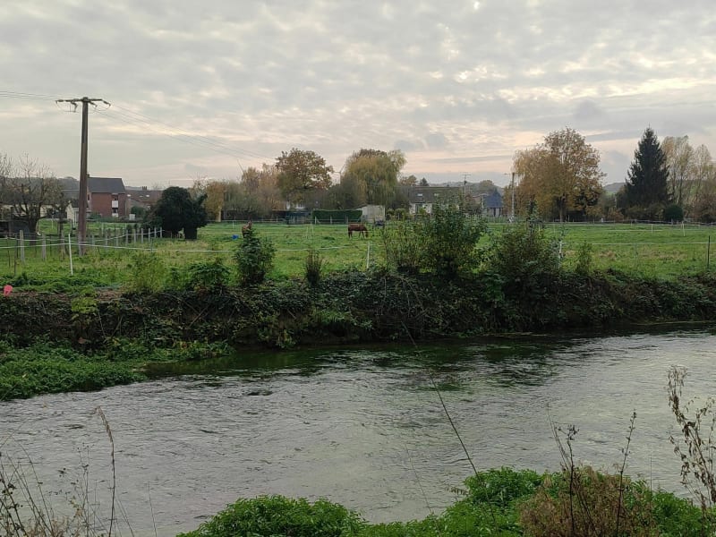 Découverte de l'Avre à Thezy-Glimont - Thézy-Glimont