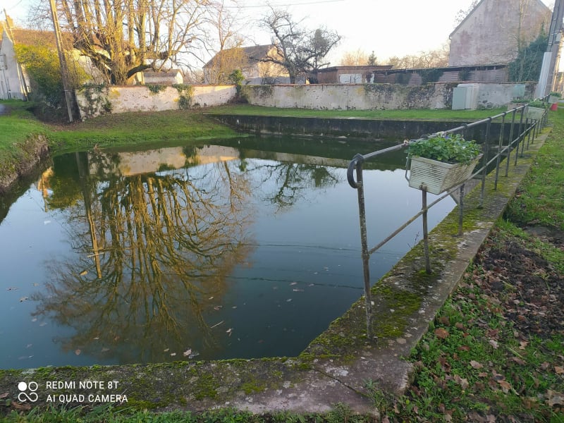 Villeneuve sur Bellot 8 k de Montflageol - Villeneuve-sur-Bellot