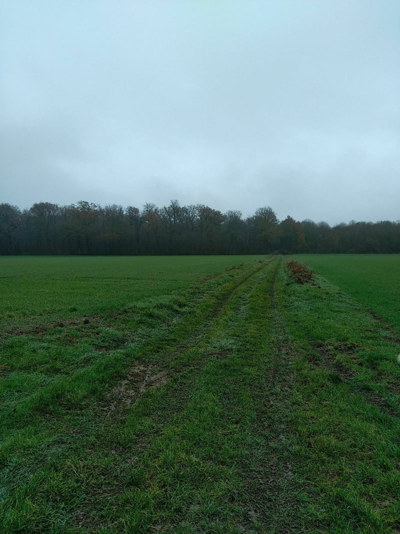 Balade en campagne - Souge