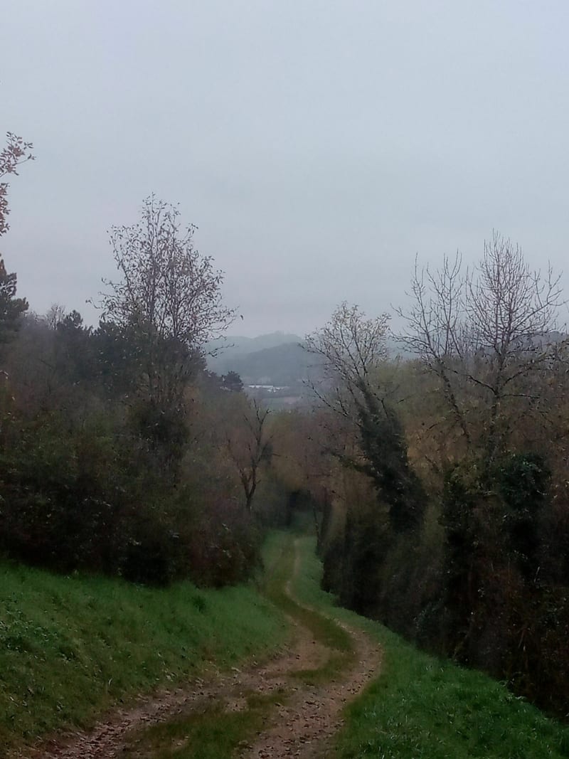 Mont d'Orient de Courbouzon - Courbouzon