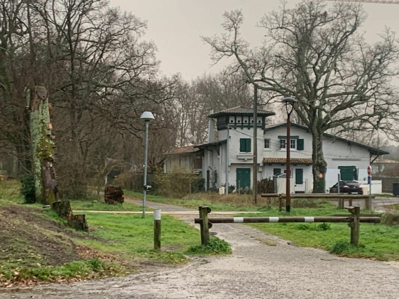 Le long du canal au départ de La Hume - Gujan-Mestras
