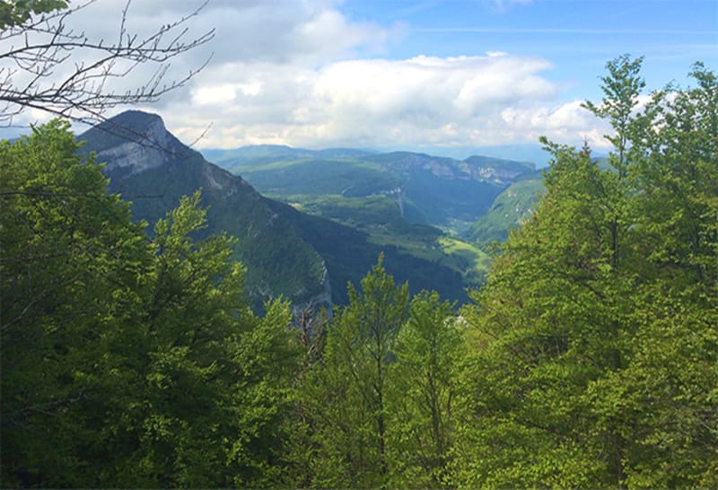 Les Vallées de Méaudre  depuis la route de Narces - Autrans-Méaudre-en-Vercors