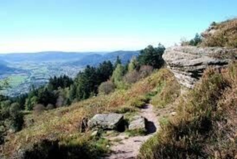 Forêt vosgienne à VTT autour de Crémanvilliers - Vagney
